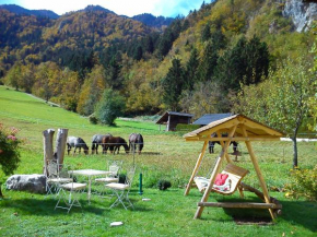 Green Paradise